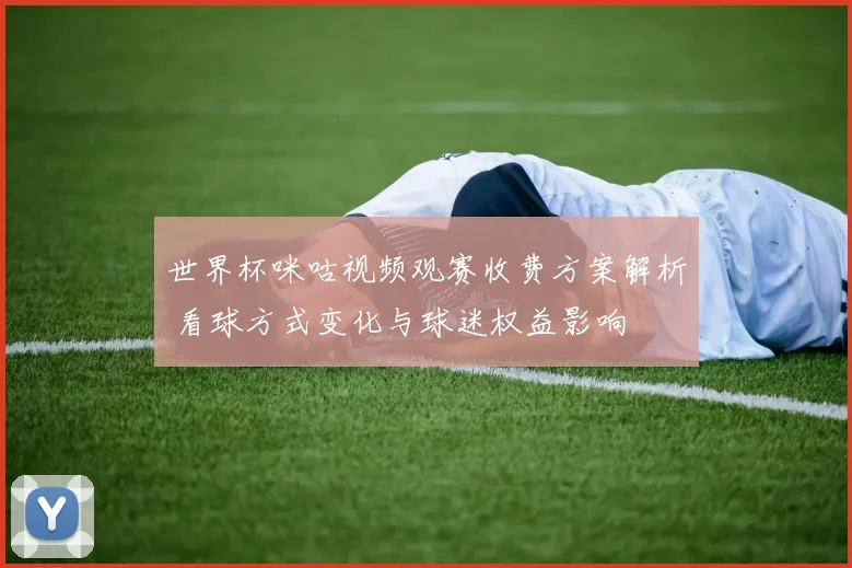 世界杯咪咕视频观赛收费方案解析 看球方式变化与球迷权益影响