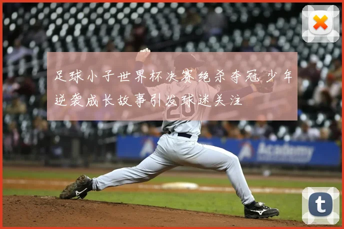 足球小子世界杯决赛绝杀夺冠 少年逆袭成长故事引发球迷关注