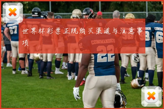 世界杯彩票正规购买渠道与注意事项