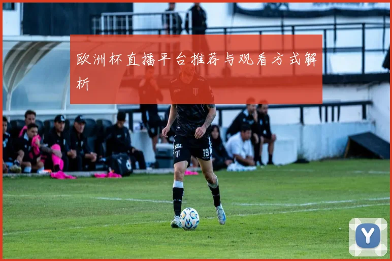 欧洲杯直播平台推荐与观看方式解析