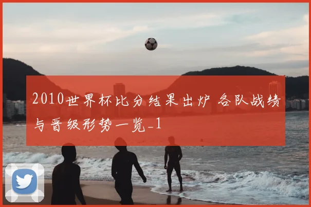 2010世界杯比分结果出炉 各队战绩与晋级形势一览_1